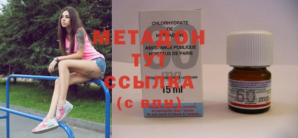 крисы Бородино
