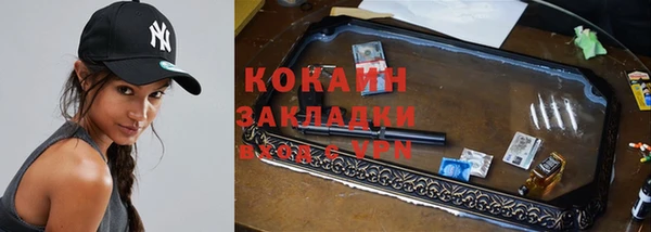 кокс Богородицк