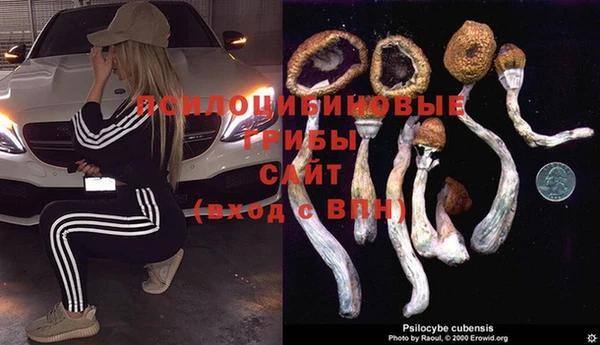 амф Тихвин