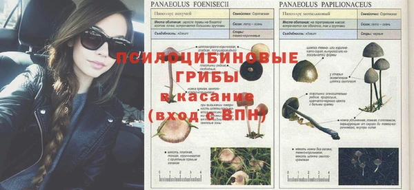 молекула духа Бугульма