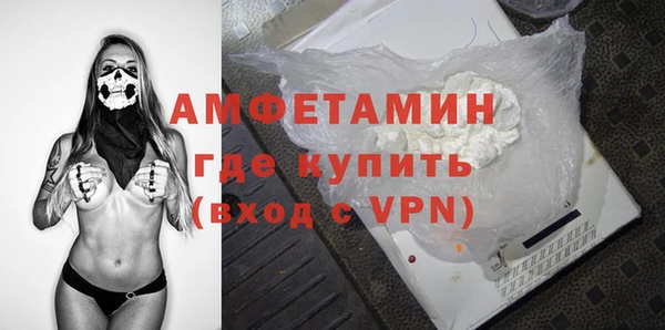 крисы Бородино