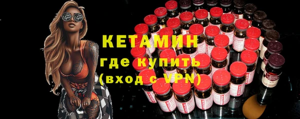 крисы Бородино